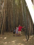 8-IMG_0913